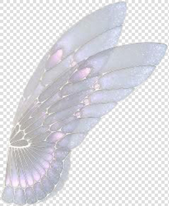  borboleta  tumblr  asa  anjo   Asas De Fada Em Png  Transparent PngTransparent PNG