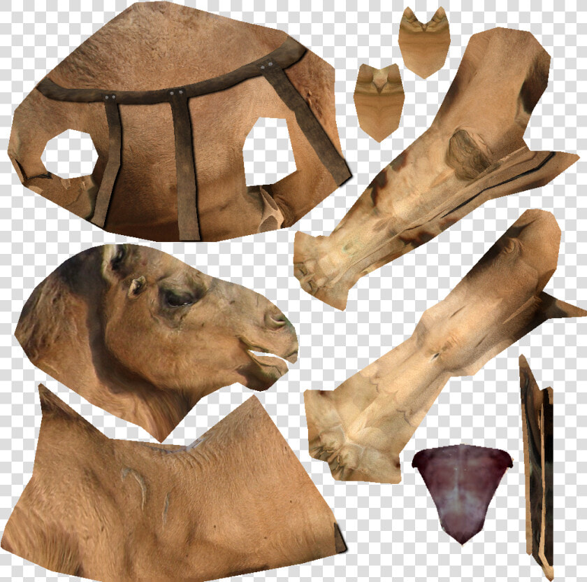 Snout  HD Png DownloadTransparent PNG