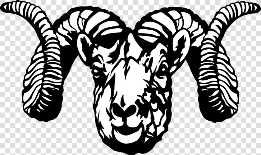 Sheep  Head  Skull  Face  Horns  Mammal  Livestock   Black And White Ram Clip Art  HD Png DownloadTransparent PNG