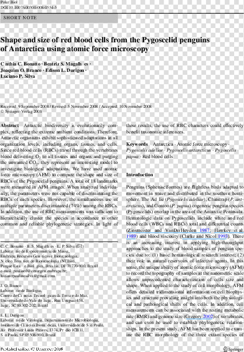 Hydroxyurea Treatment Beta Thalassemia  HD Png DownloadTransparent PNG