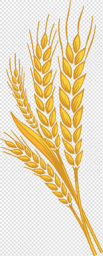 Wheat  Sugar Added Country Harvest   Wheat Png  Transparent PngTransparent PNG