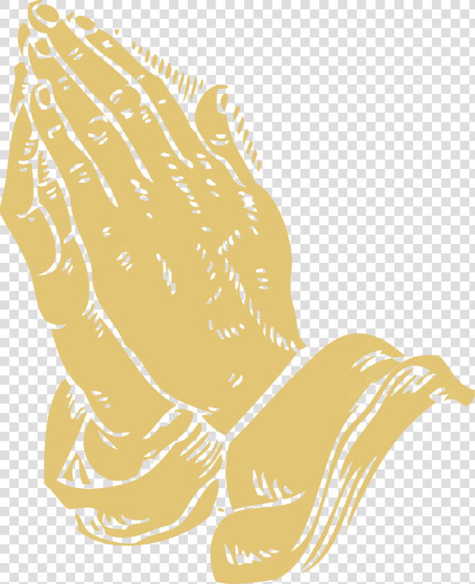 Art carnivoran beak   Praying Hands Png  Transparent PngTransparent PNG