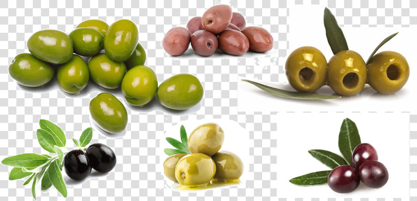 Olives   Png Download   Arbequina Evoo  Transparent PngTransparent PNG