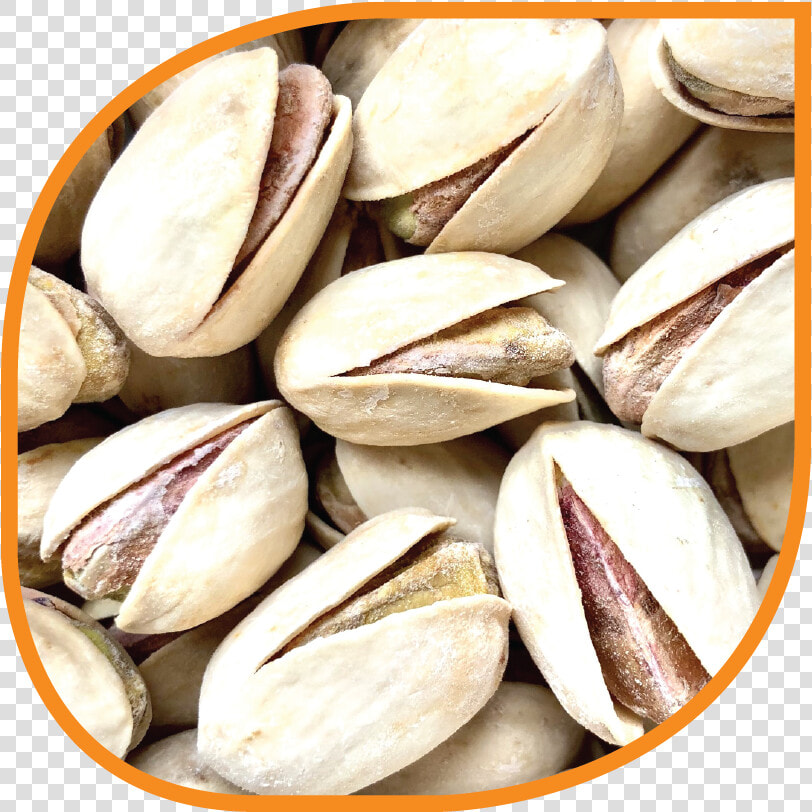 Pistachio  HD Png DownloadTransparent PNG