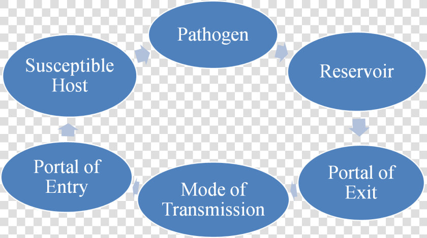 Chain Of Infection Transparent  HD Png DownloadTransparent PNG
