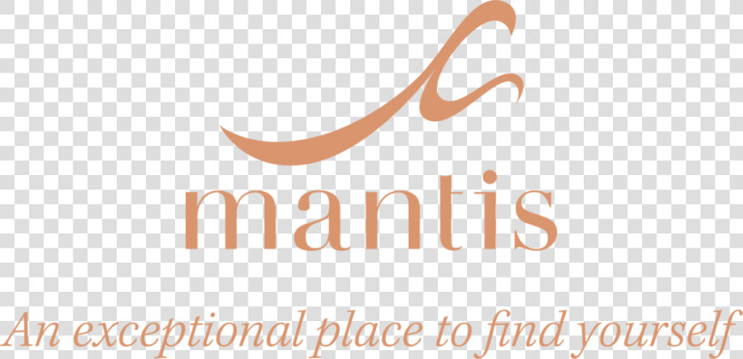 Mantis Logo   Calligraphy  HD Png DownloadTransparent PNG