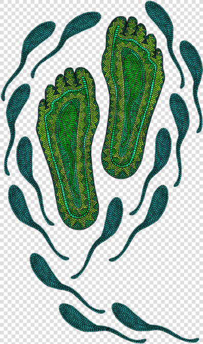 Indigenous Australian Artwork Png  Transparent PngTransparent PNG