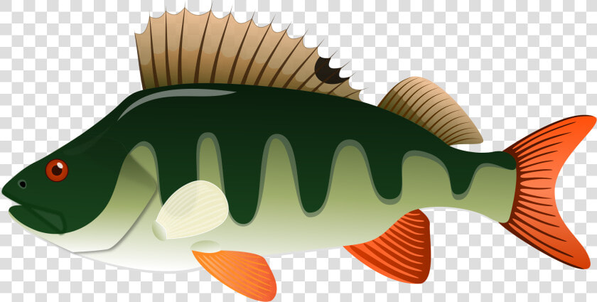 Northern Pike Yellow Perch Clip Art   Perch Clipart  HD Png DownloadTransparent PNG