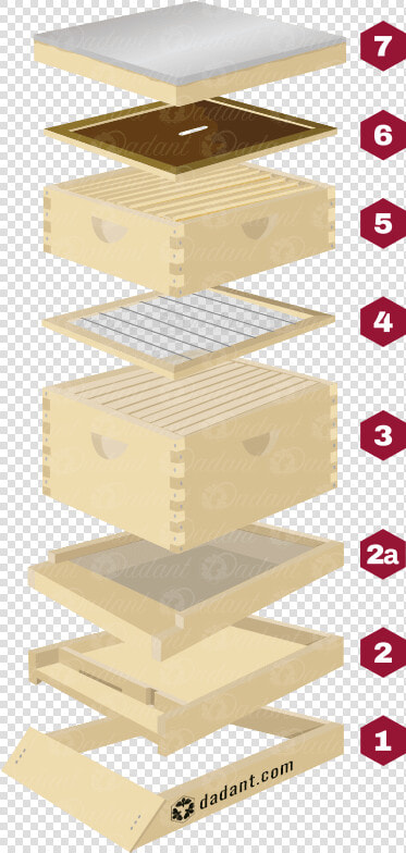 Components Of A Beehive By Dadant  amp  Sons   Plywood  HD Png DownloadTransparent PNG
