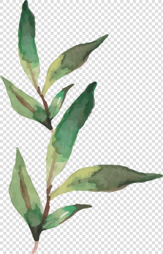 Daphne  HD Png DownloadTransparent PNG