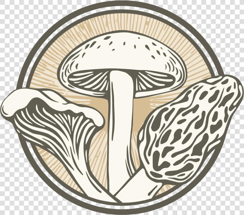 Shiitake  HD Png DownloadTransparent PNG