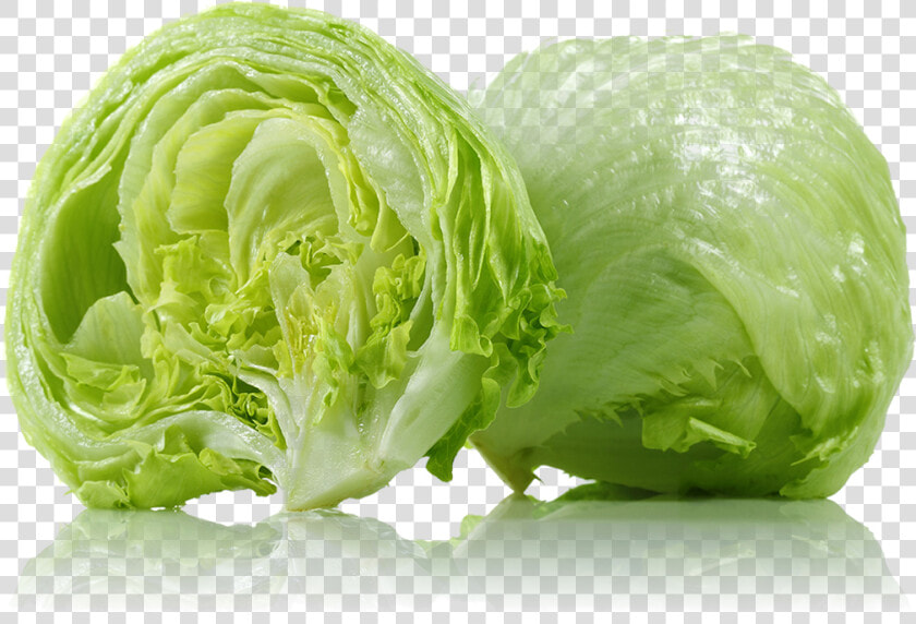 Transparent Lettuce Png   Iceberg Lettuce  Png DownloadTransparent PNG