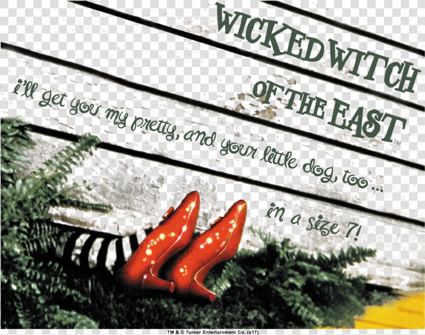 Wizard Of Oz Size 7 Women S T shirt   Wicked Witch Legs Under House  HD Png DownloadTransparent PNG