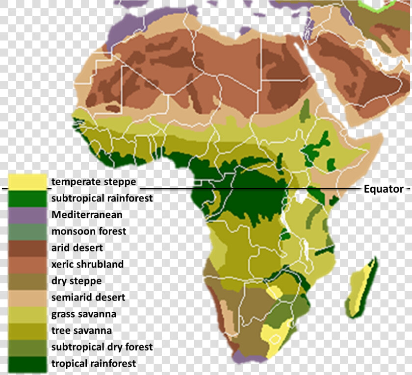 Vegetation Africa   Ancient Africa Geography  HD Png DownloadTransparent PNG