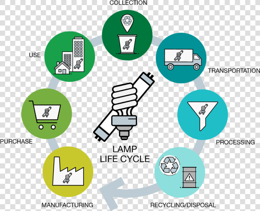 Life Cycle Of A Lamp   Cycle De Vie D Une Lampe  HD Png DownloadTransparent PNG