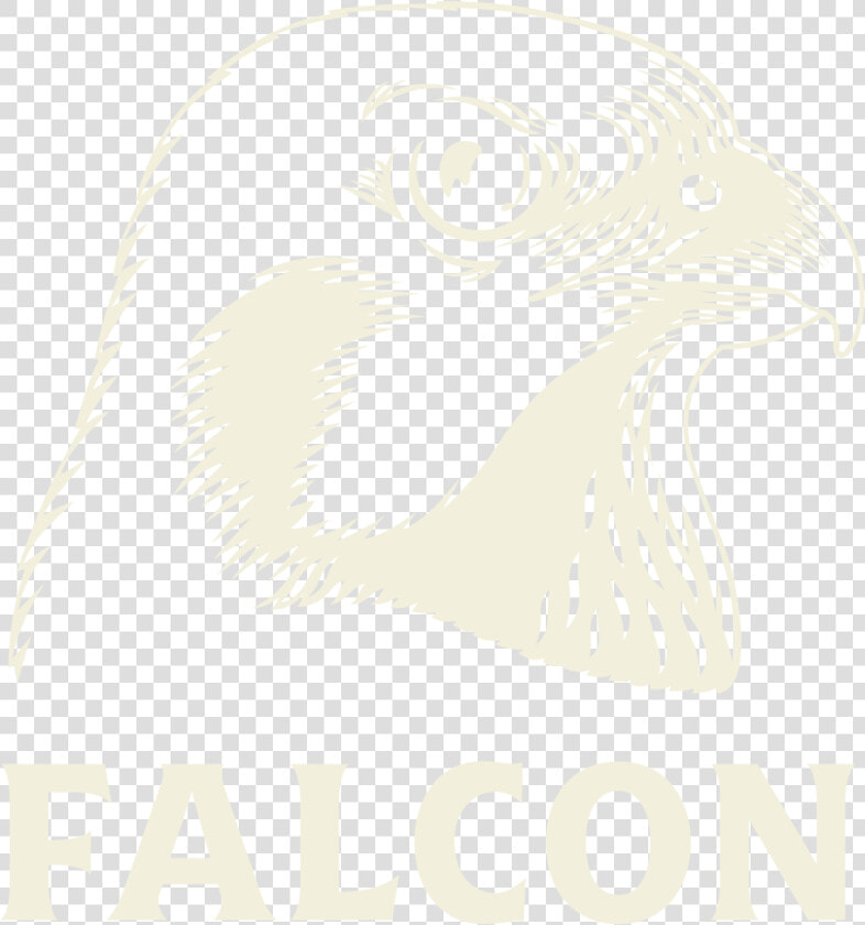 1 Falcon Logo   Falcon Beer Logo  HD Png DownloadTransparent PNG