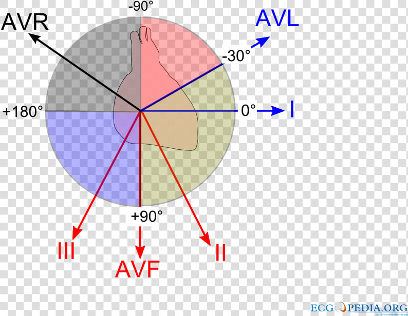 Ecg Axis  HD Png DownloadTransparent PNG