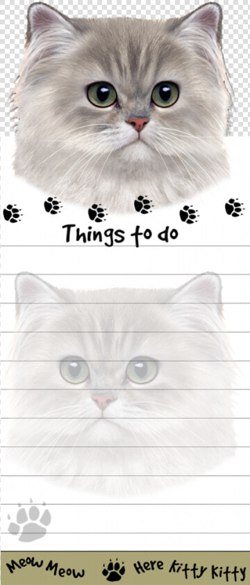 Persian  Cat   British Longhair  HD Png DownloadTransparent PNG