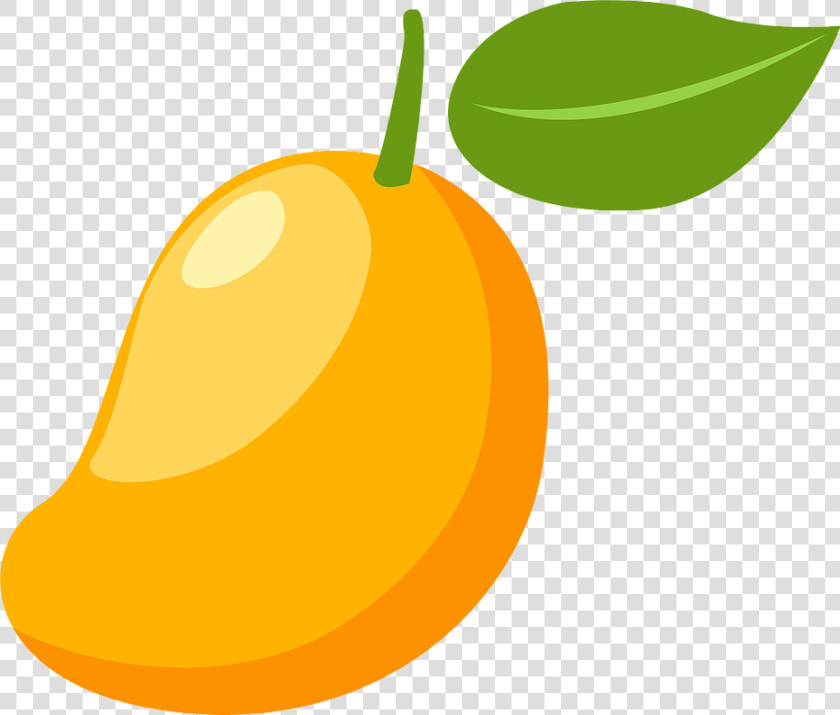 Mango Vector Png   Transparent Mango Vector Png  Png DownloadTransparent PNG