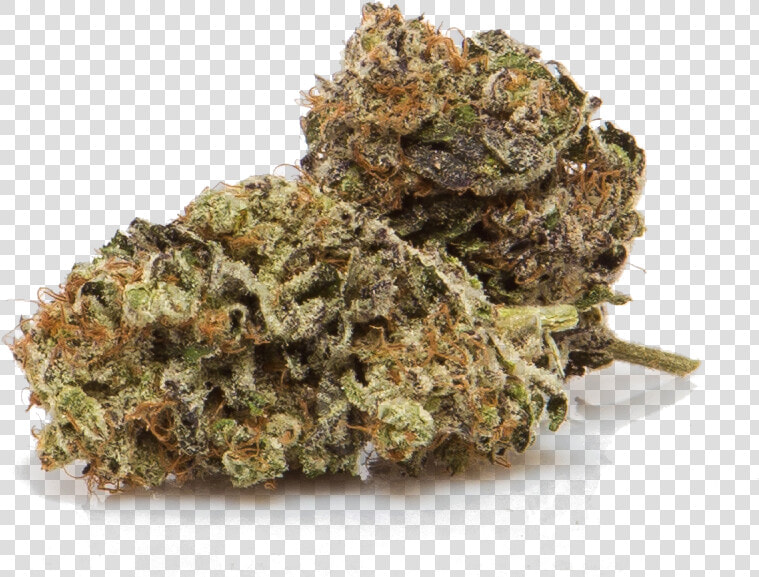 Cbd Strains For Sale  HD Png DownloadTransparent PNG
