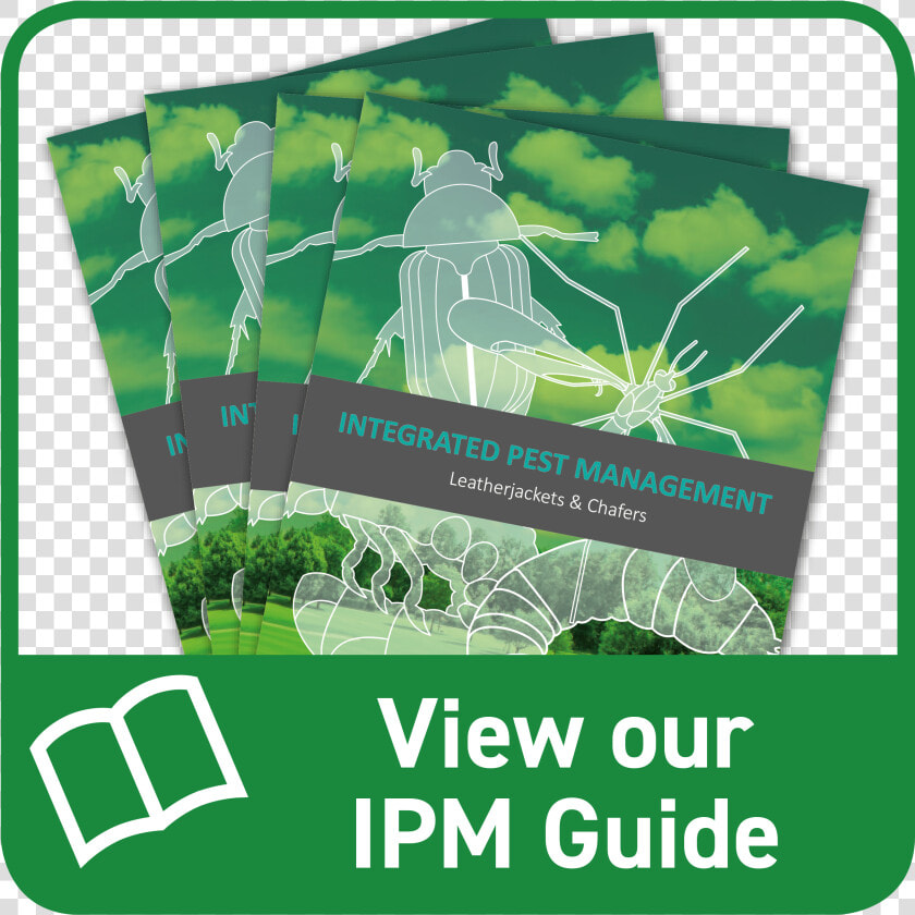 Integrated Pest Management Leaflet   Grass  HD Png DownloadTransparent PNG