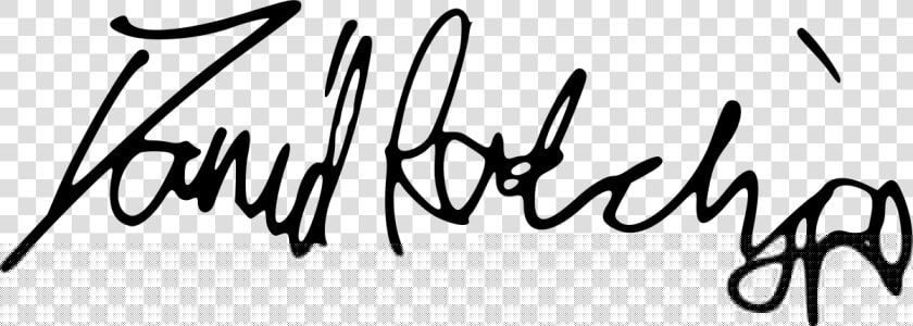 Daniel Radcliffe Signature Png  Transparent PngTransparent PNG