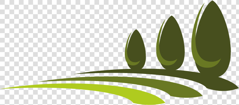 What Is Lawn And Types Of Lawn   Vector Graphics  HD Png DownloadTransparent PNG