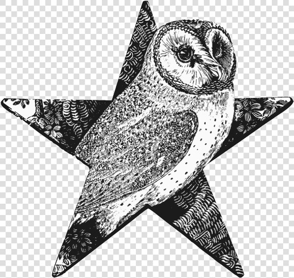 Barn Owl Barnstar   Thomas Bewick Animals  HD Png DownloadTransparent PNG