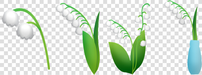 Lily Of The Valley  Lily In Vase  Lily Flowers  Leaves   Lirio De Los Valles Png  Transparent PngTransparent PNG