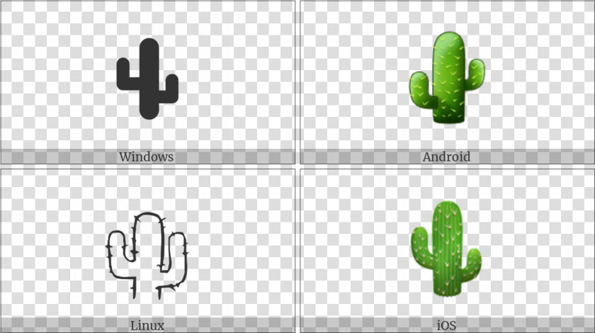 Cactus On Various Operating Systems   Prickly Pear  HD Png DownloadTransparent PNG