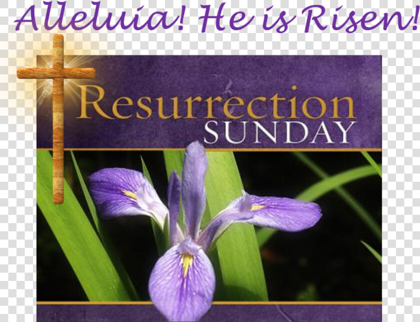 Wishing A Blessed Resurrection Sunday  HD Png DownloadTransparent PNG