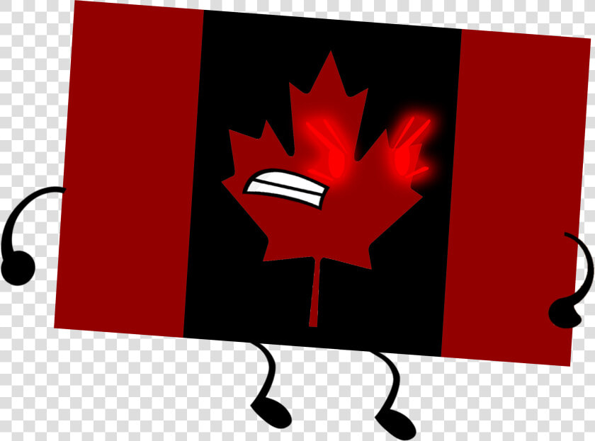 Canada Flag Png   Bfdi Canada  Transparent PngTransparent PNG