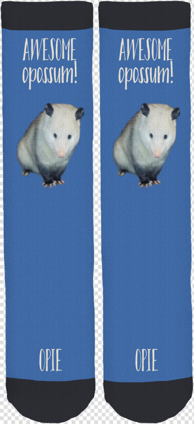 Hamster  HD Png DownloadTransparent PNG