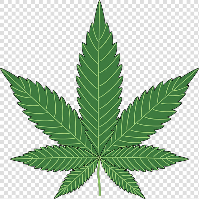 Baking  Cannabis  Hemp  Leaf  Marijuana  Plant  Pot   Weed Plant Clipart  HD Png DownloadTransparent PNG