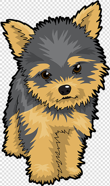 Puppy Clipart Yorkie   Yorkshire Terrier Cartoon Png  Transparent PngTransparent PNG
