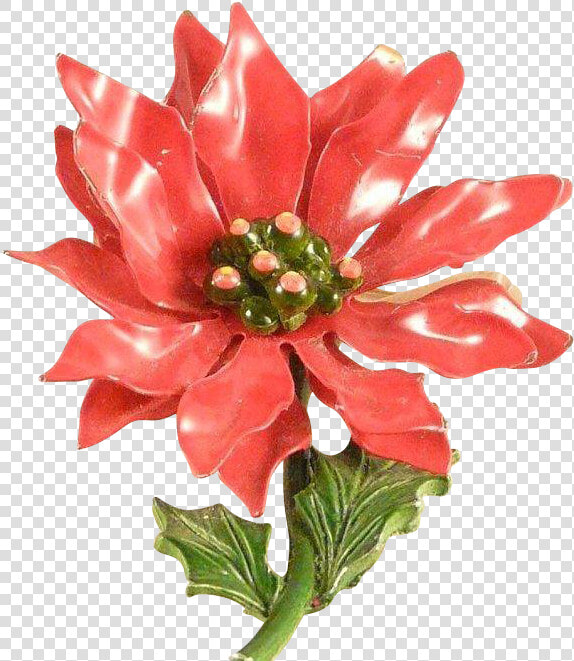 Christmas Poinsettia Flower Pin Vintage 1960s Enameled   Poinsettia  HD Png DownloadTransparent PNG