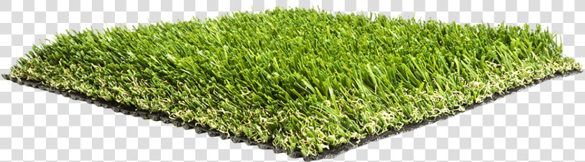 Artificial Grass Liquidators Turf Agl Pro69   Lawn  HD Png DownloadTransparent PNG