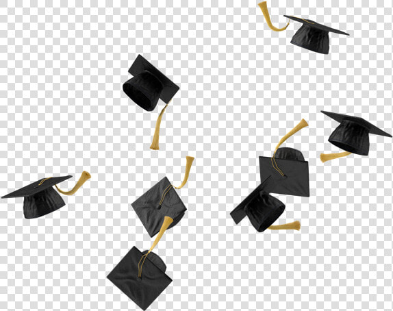 Graduaciones Png  Transparent PngTransparent PNG