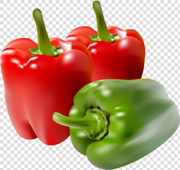 Paprika Red Green Realistic Meshfill Art Meshfill Art   Red Green Bell Pepper Transparent  HD Png DownloadTransparent PNG