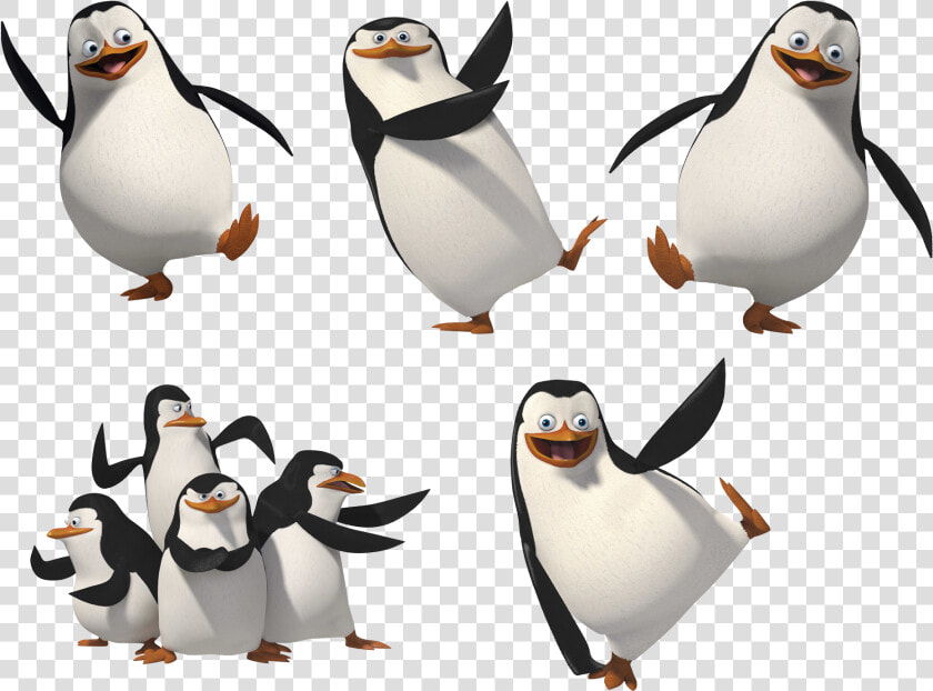 Penguins Of Madagascar Png Image Transparent   Penguins Of Madagascar Black And White  Png DownloadTransparent PNG