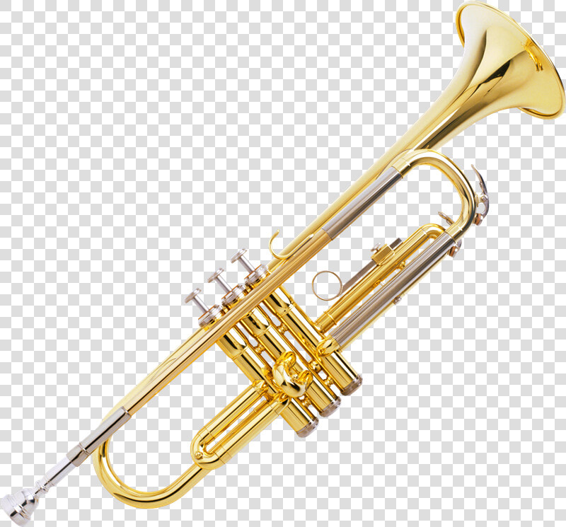 Nadir Ali  amp  Co Meerut Trumpet Price  HD Png DownloadTransparent PNG
