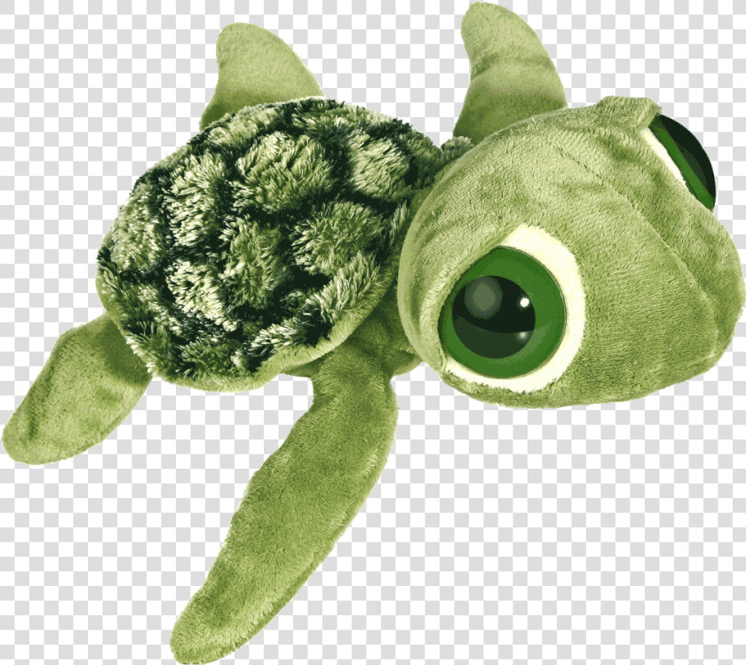 Tortugas Marinas Bebes  HD Png DownloadTransparent PNG
