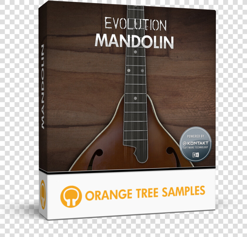 Orange Tree Samples   Orange Tree Samples Evolution Sitardelic  HD Png DownloadTransparent PNG