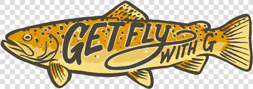 Get Fly With G Brown Trout   Trout  HD Png DownloadTransparent PNG