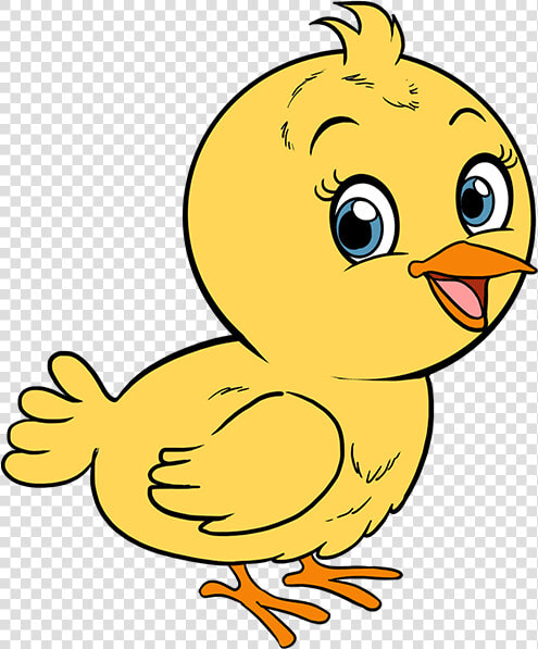 How To Draw Baby Bird   Baby Bird Cartoon Drawing  HD Png DownloadTransparent PNG