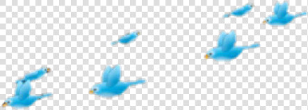 Aesthetic Clipart Tumblr Transparent Overlay   Aesthetic Bird Crown  HD Png DownloadTransparent PNG