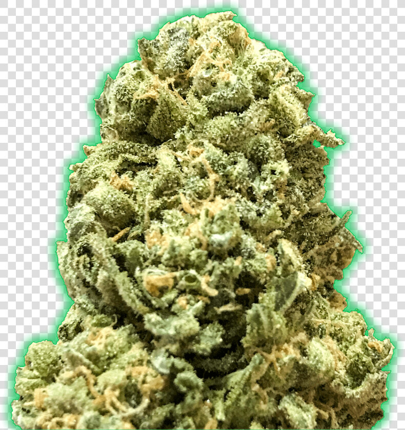 Monster Girl Scout Cookies Feminised Seeds   Title   Rock  HD Png DownloadTransparent PNG