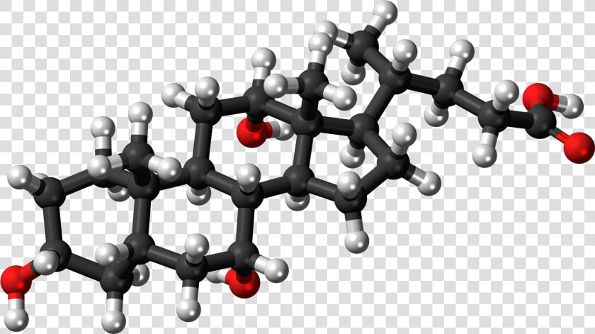 Molecular Structure Png Clipart   Cholic Acid 3d Structure  Transparent PngTransparent PNG