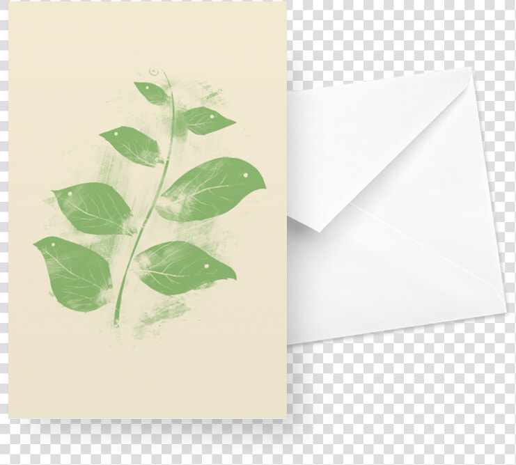 Planalto Hermit  HD Png DownloadTransparent PNG