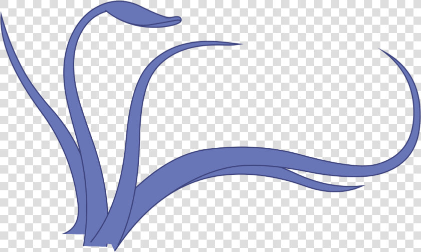 Squid Png   Squid Tentacles Png  Transparent PngTransparent PNG